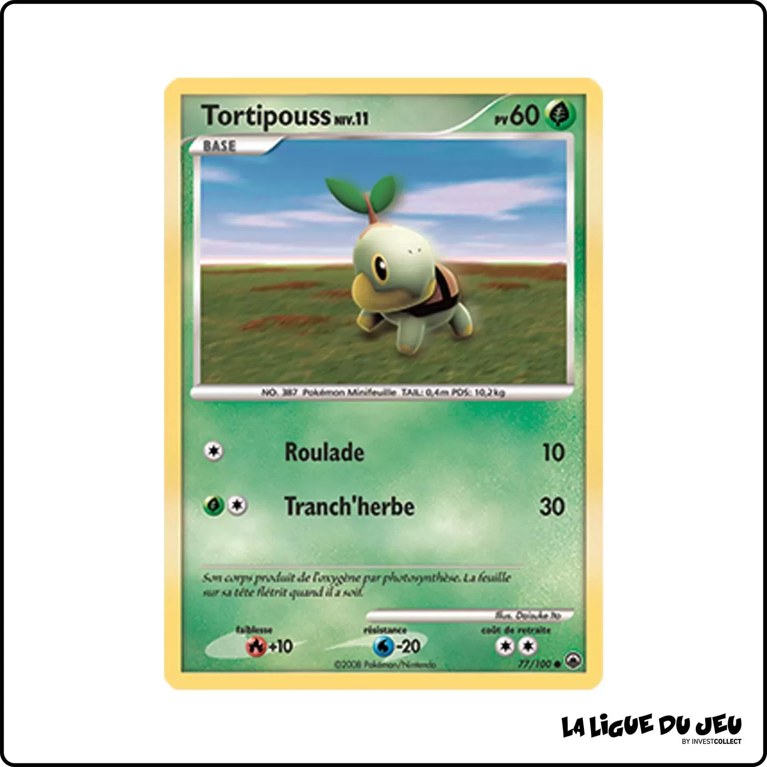 Commune - Pokemon - Aube Majestueuse - Tortipouss 77/100 Pokemon Company - 1