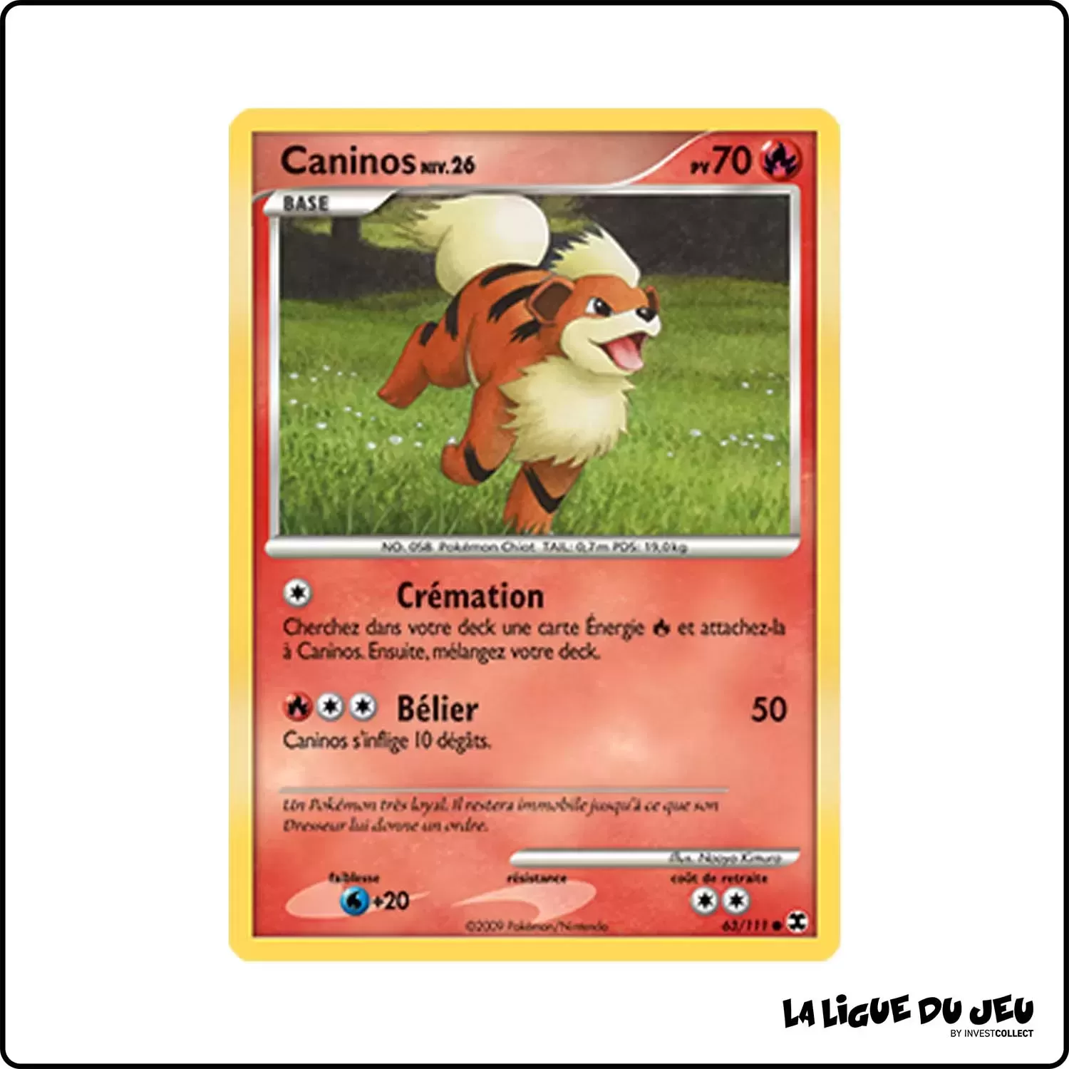 Commune - Pokemon - Rivaux Émergeants - Caninos 63/111 Pokemon Company - 1