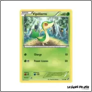 Commune - Pokemon - Noir et Blanc de Base - Vipélierre 1/114