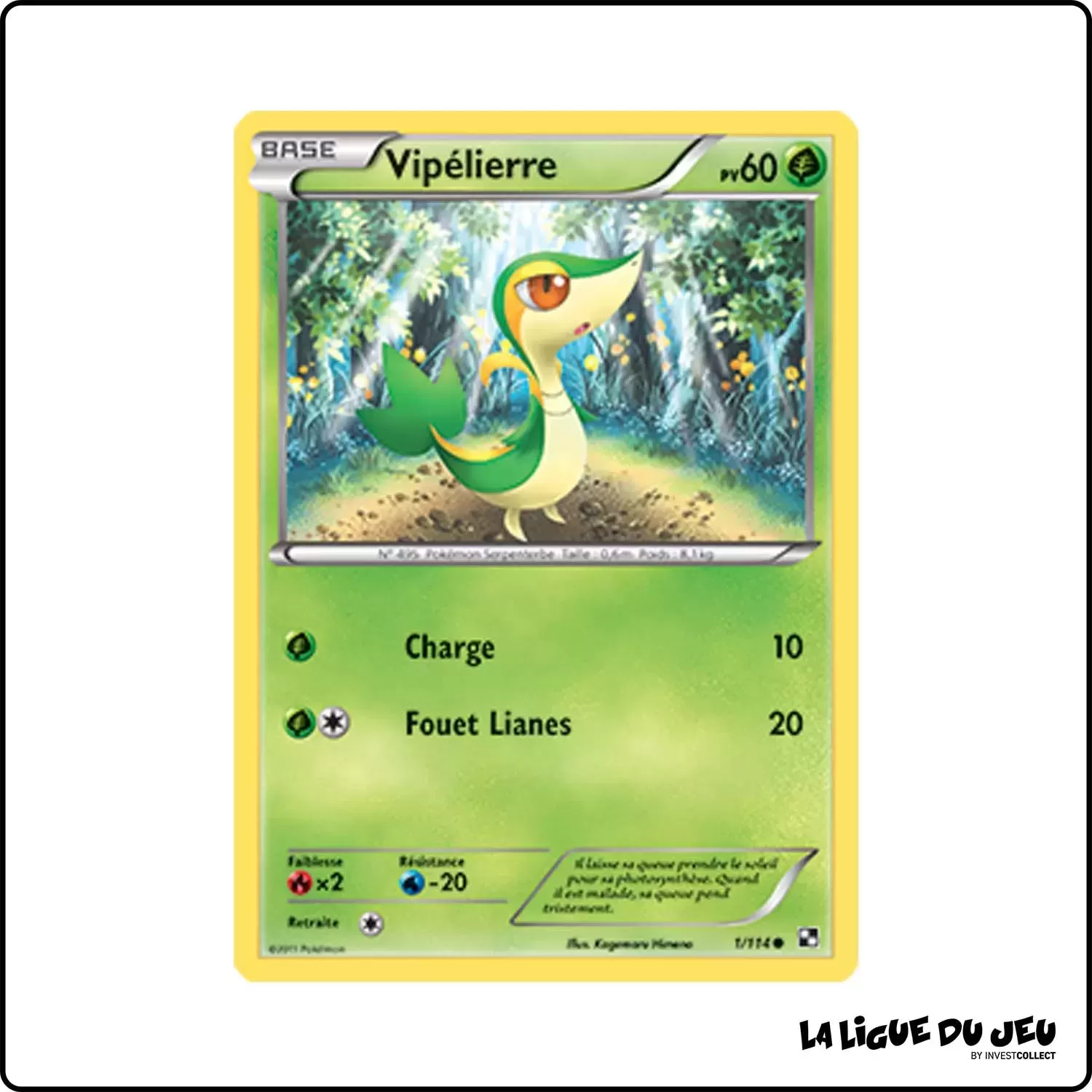 Commune - Pokemon - Noir et Blanc de Base - Vipélierre 1/114