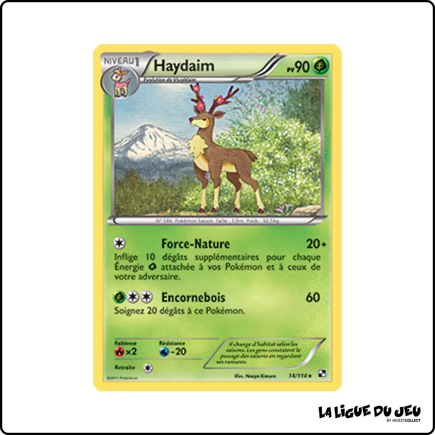 Rare - Pokemon - Noir et Blanc de Base - Haydaim 14/114