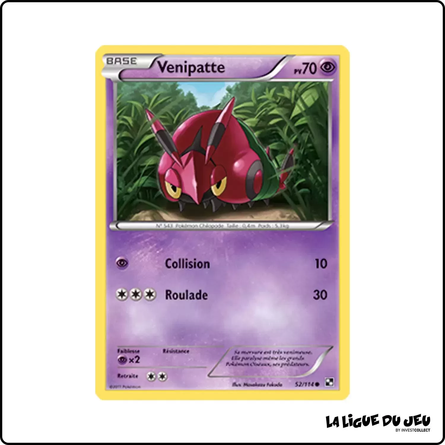 Commune - Pokemon - Noir et Blanc de Base - Venipatte 52/114