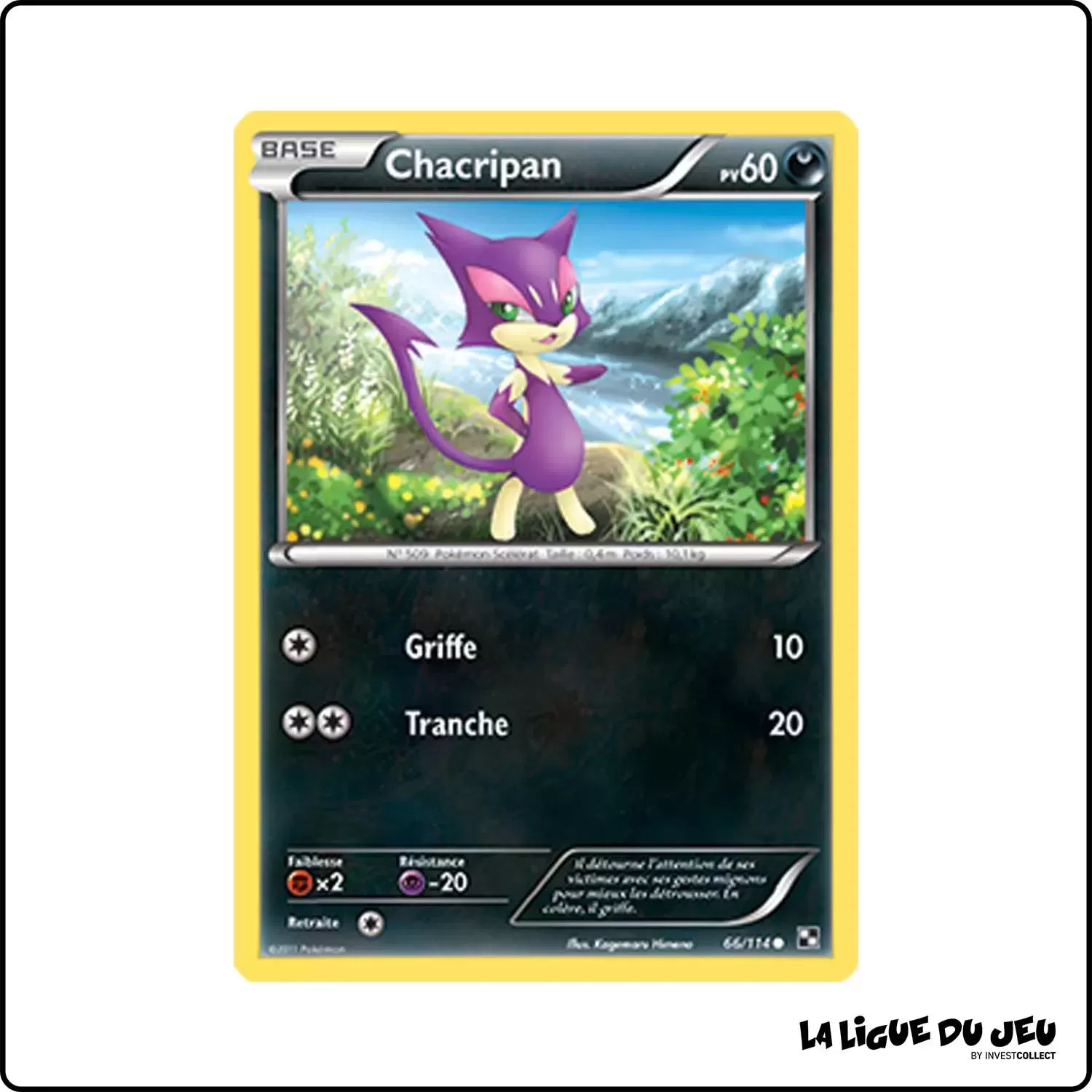 Commune - Pokemon - Noir et Blanc de Base - Chacripan 66/114