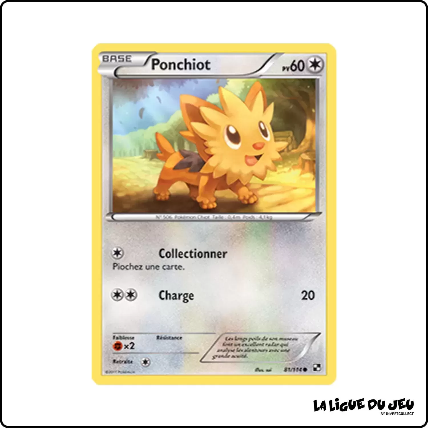 Commune - Pokemon - Noir et Blanc de Base - Ponchiot 81/114 Pokemon Company - 1