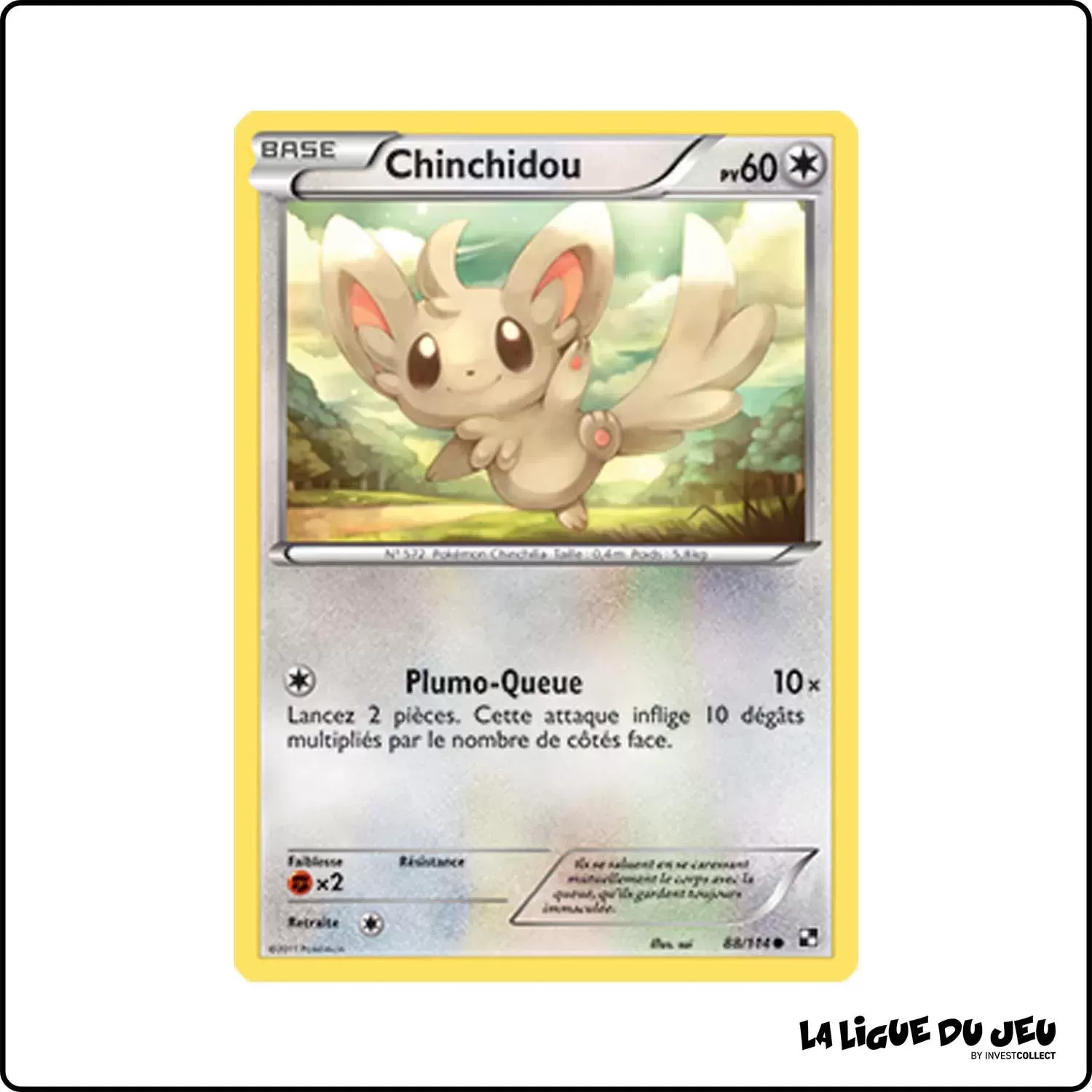 Commune - Pokemon - Noir et Blanc de Base - Chinchidou 88/114