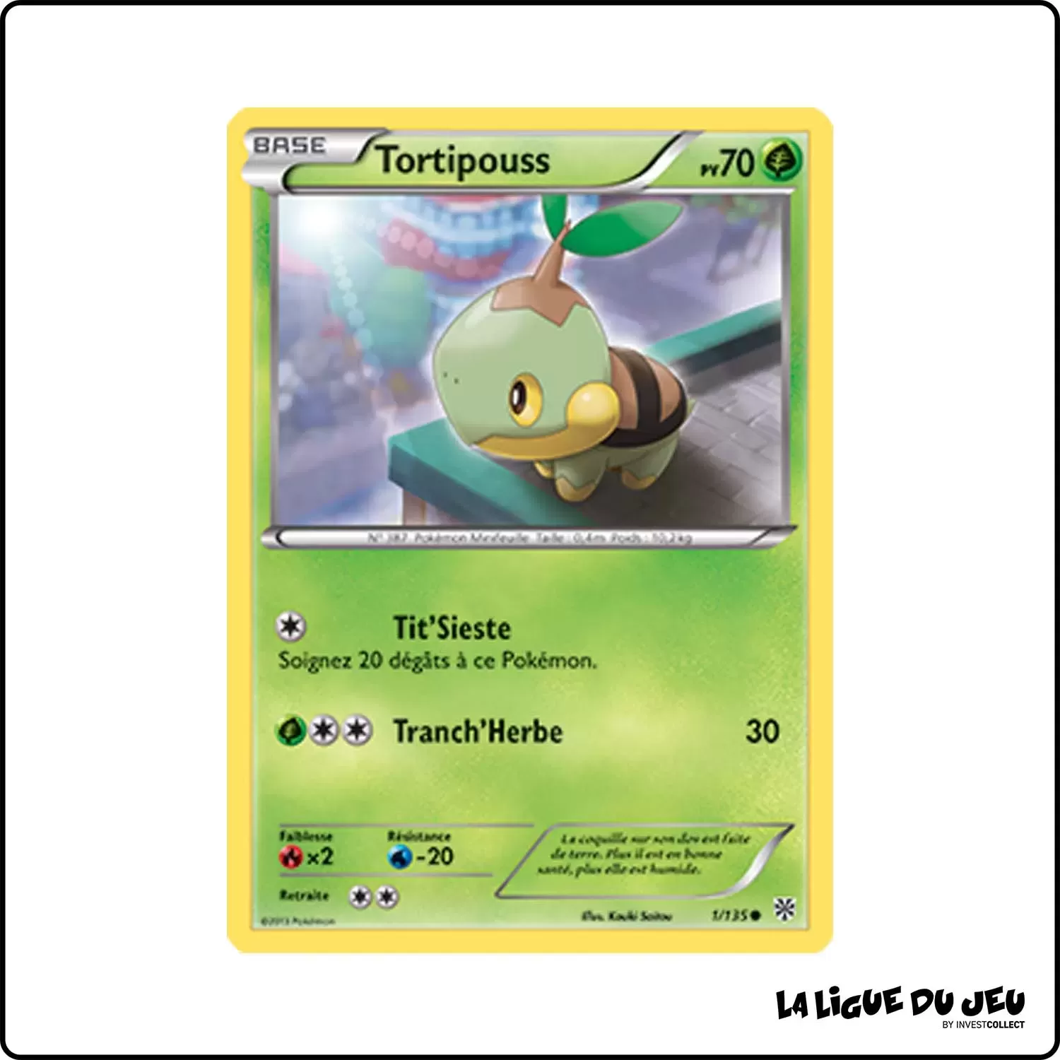 Commune - Pokemon - Tempête Plasma - Tortipouss 1/135