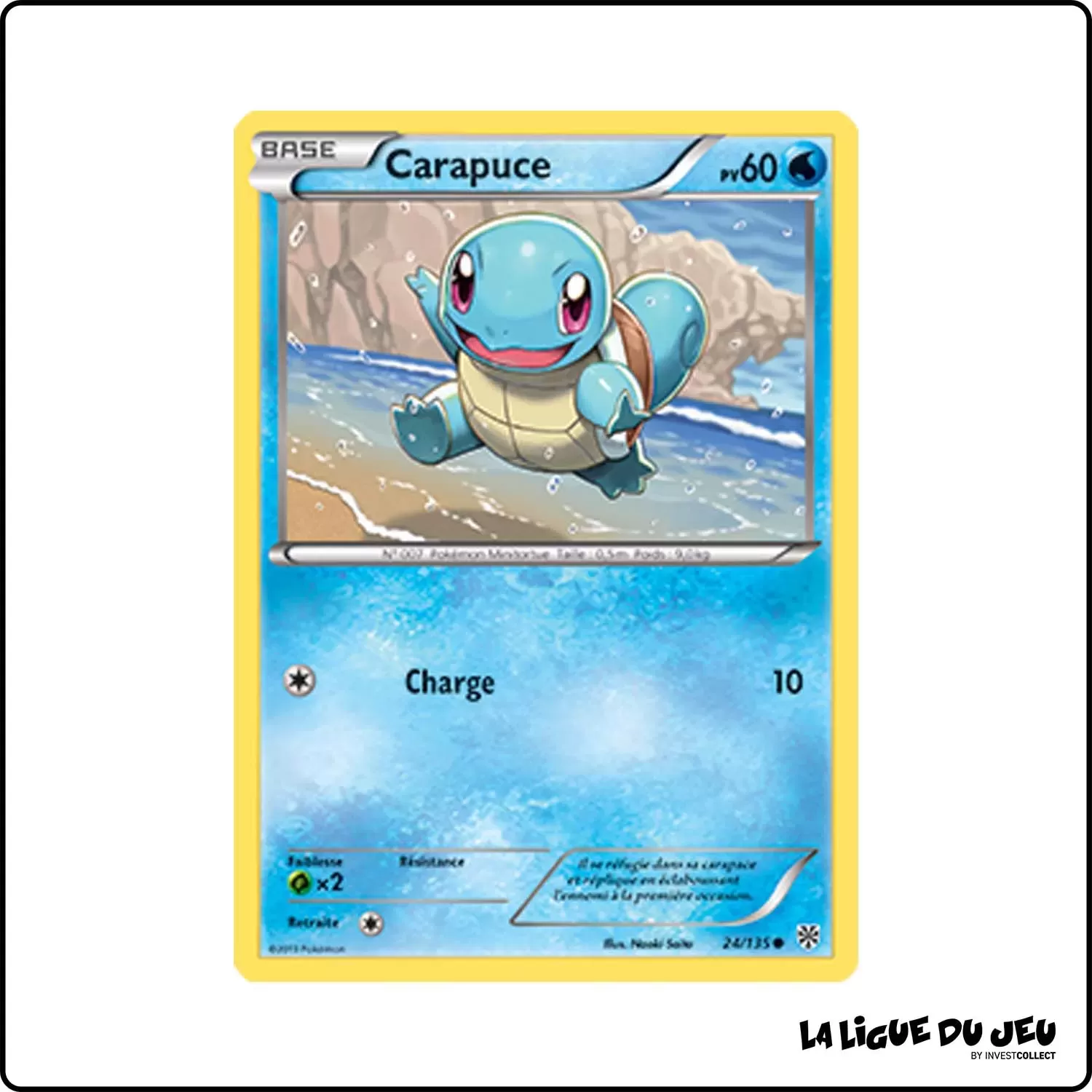 Commune - Pokemon - Tempête Plasma - Carapuce 24/135