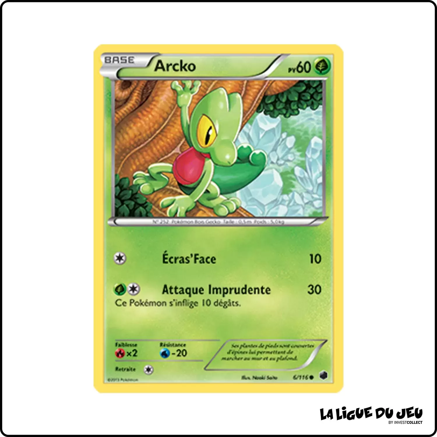 Commune - Pokemon - Glaciation Plasma - Arcko 6/116