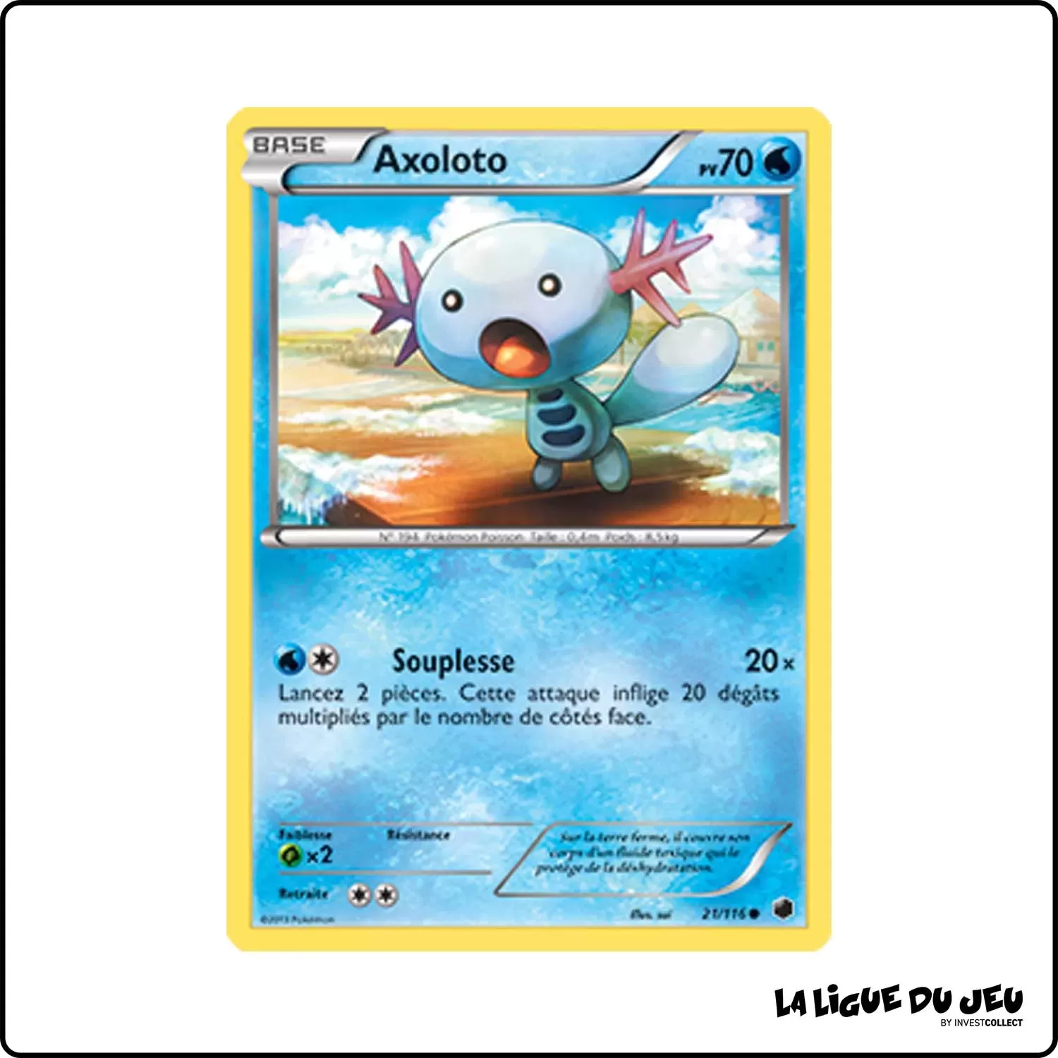 Commune - Pokemon - Glaciation Plasma - Axoloto 21/116