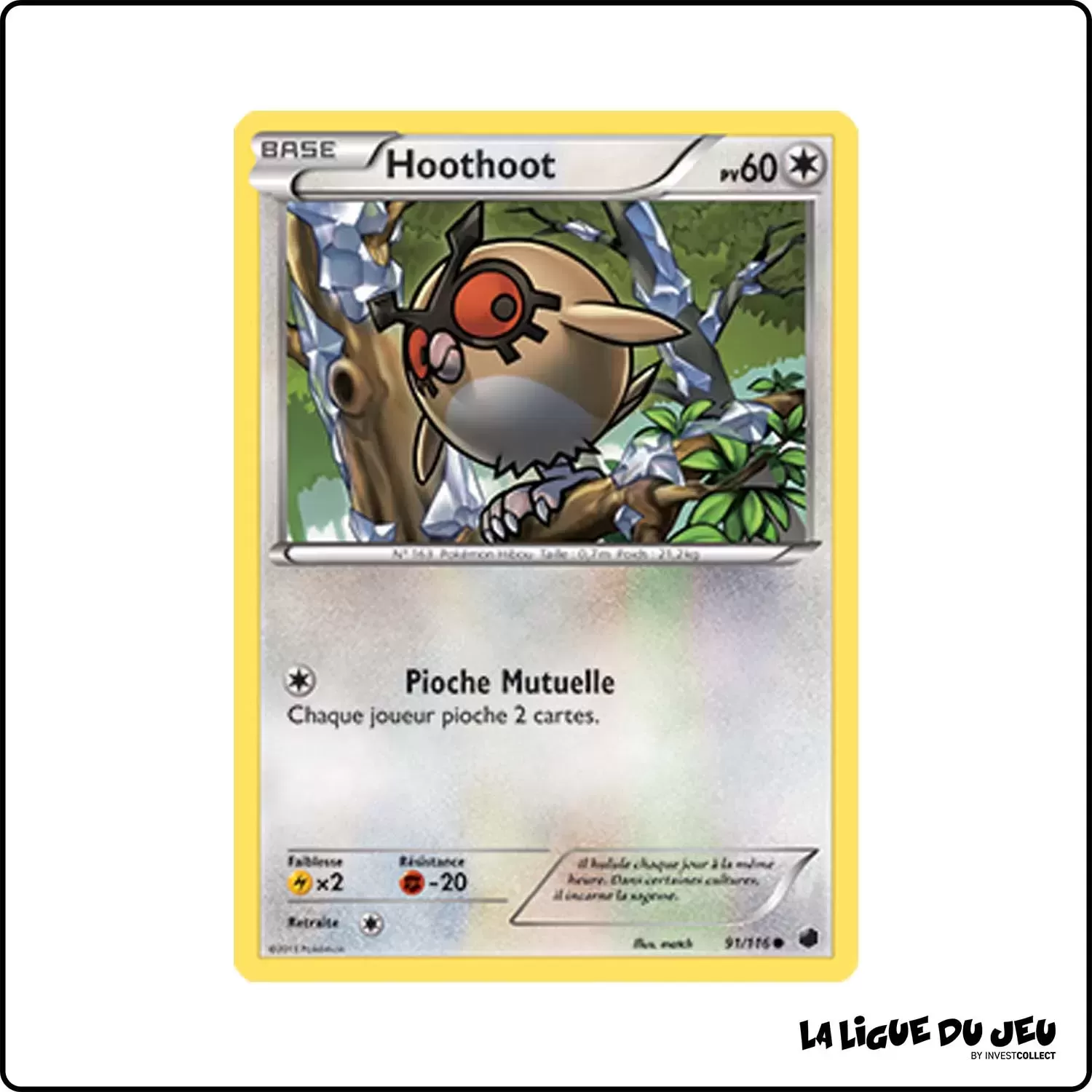 Commune - Pokemon - Glaciation Plasma - Hoothoot 91/116