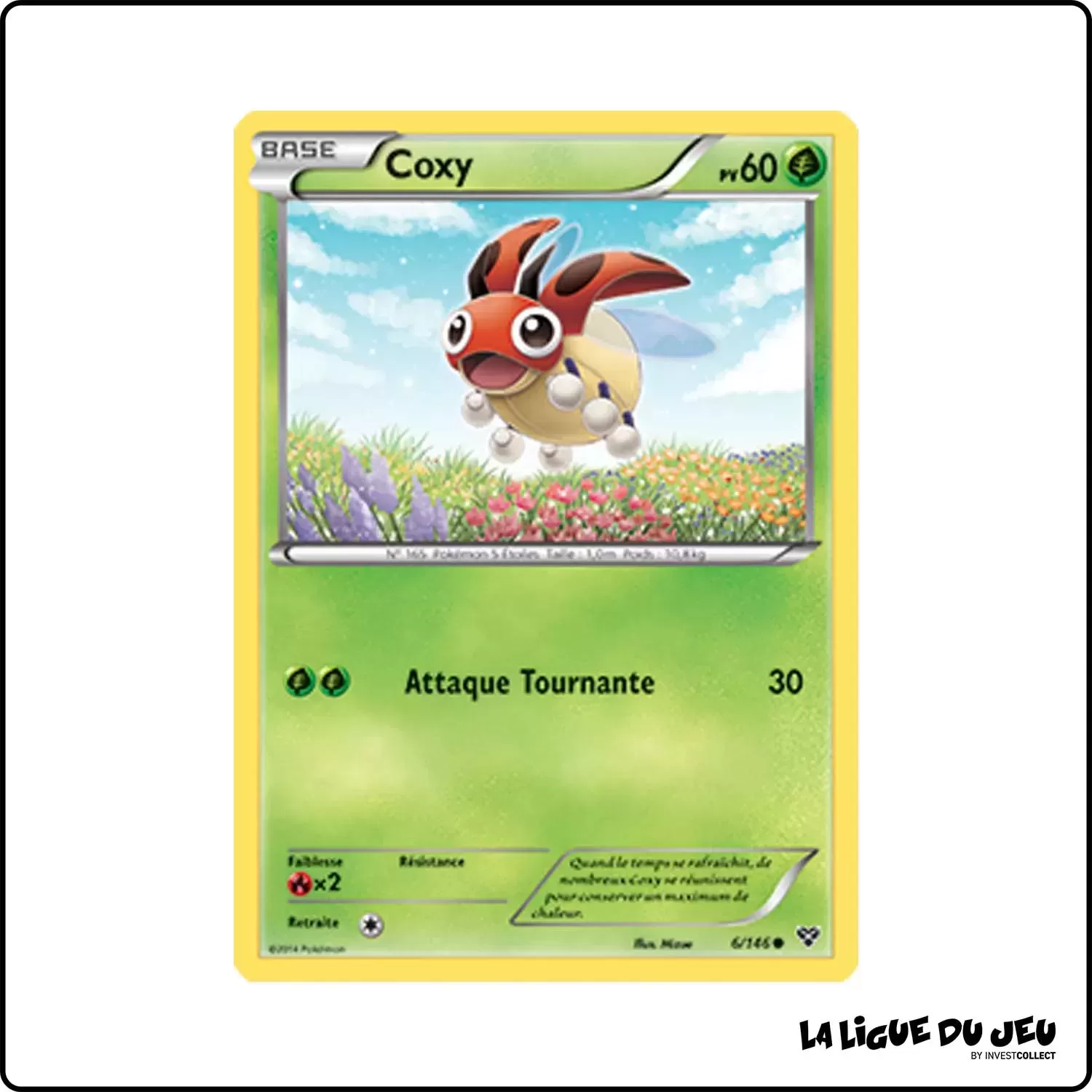 Commune - Pokemon - XY de Base - Coxy 6/146 Pokemon Company - 1