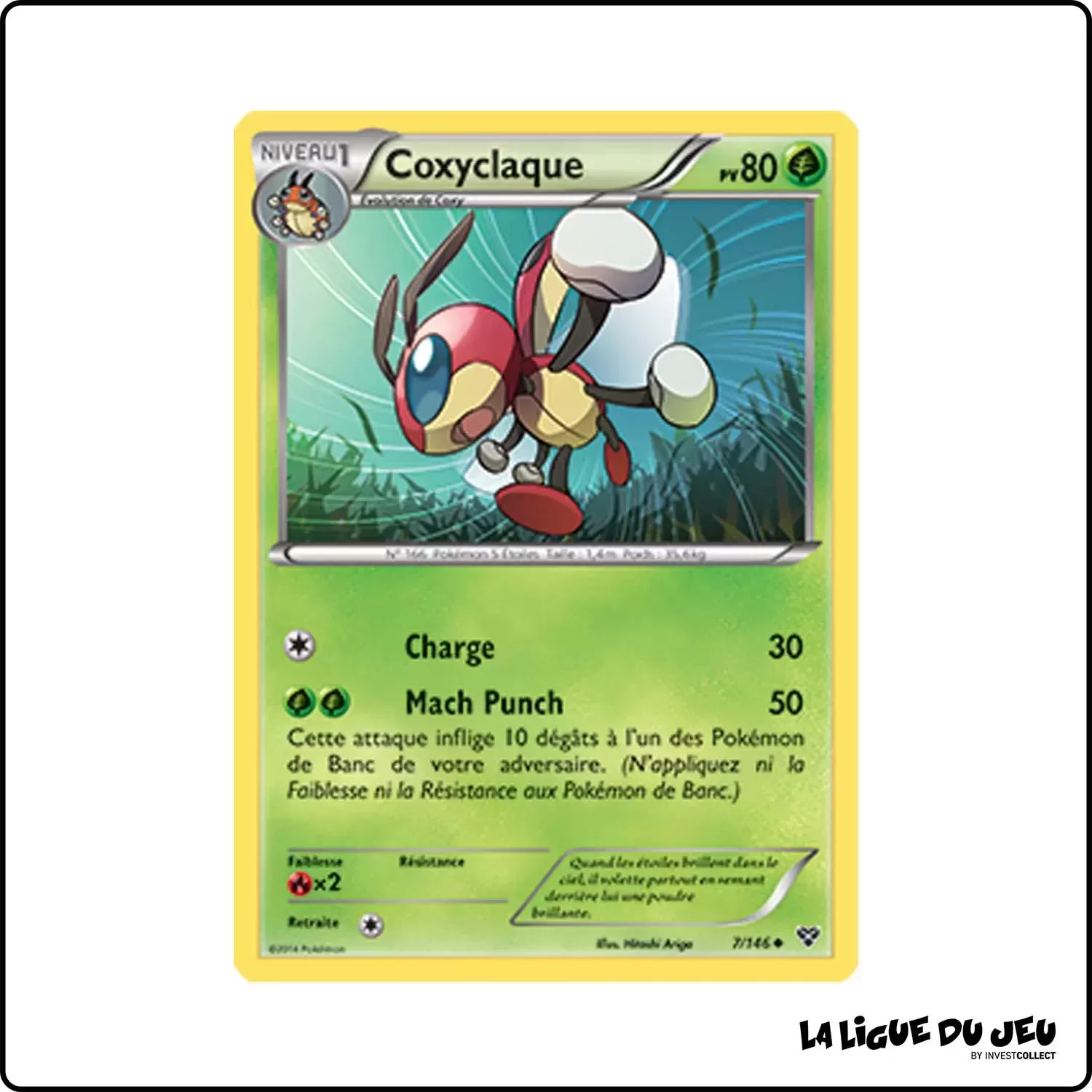 Peu commune - Pokemon - XY de Base - Coxyclaque 7/146 Pokemon Company - 1