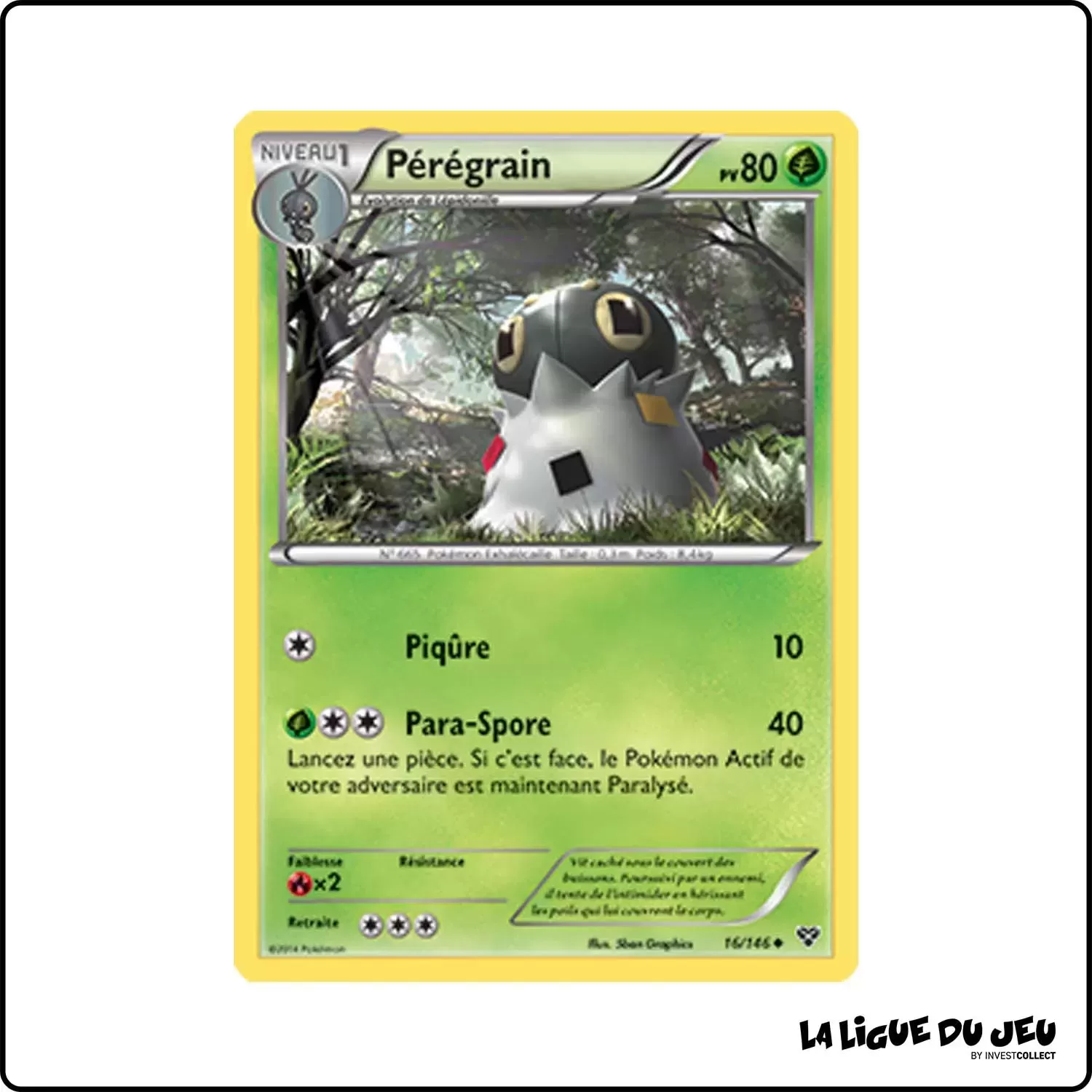 Peu commune - Pokemon - XY de Base - Pérégrain 16/146 Pokemon Company - 1