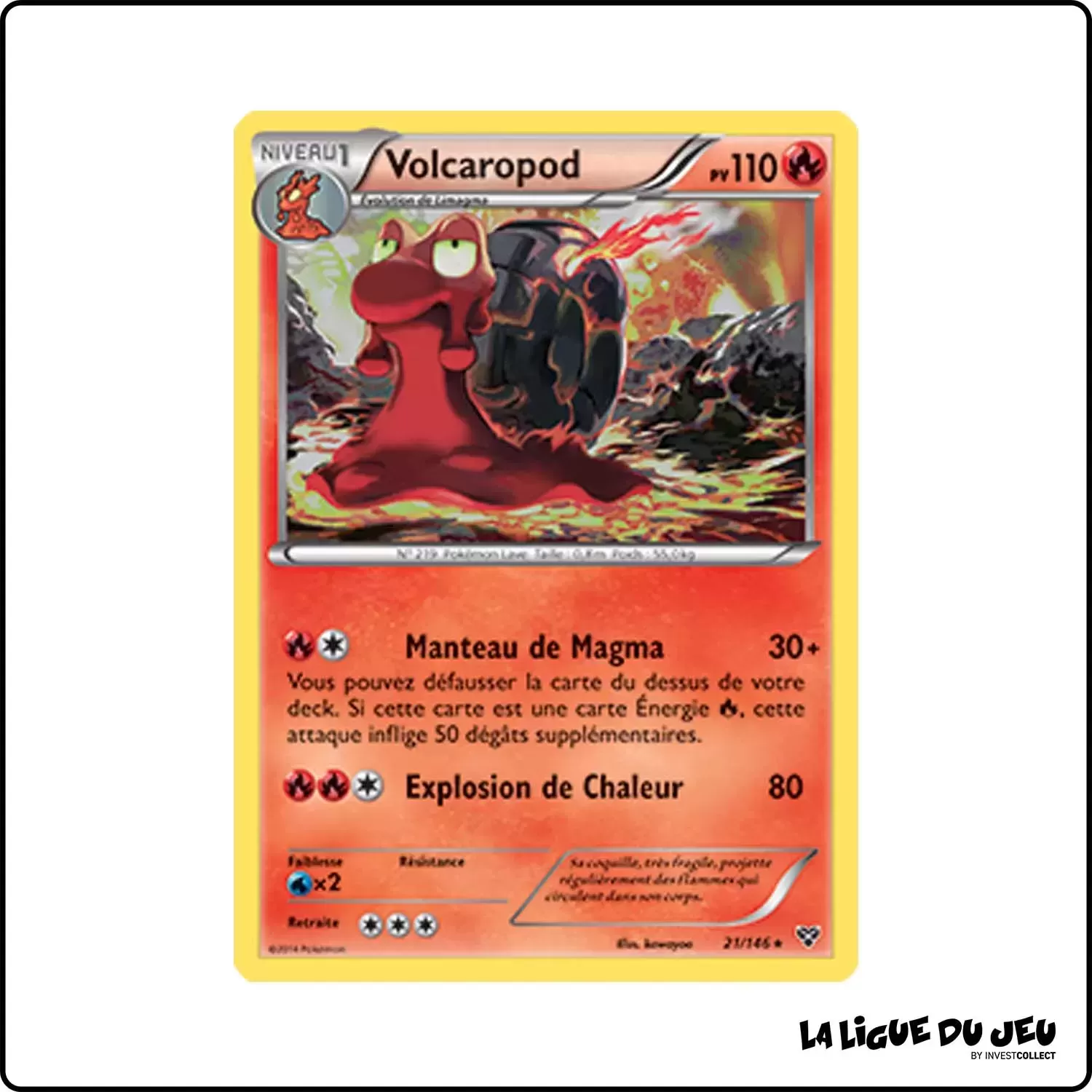 Rare - Pokemon - XY de Base - Volcaropod 21/146 Pokemon Company - 1