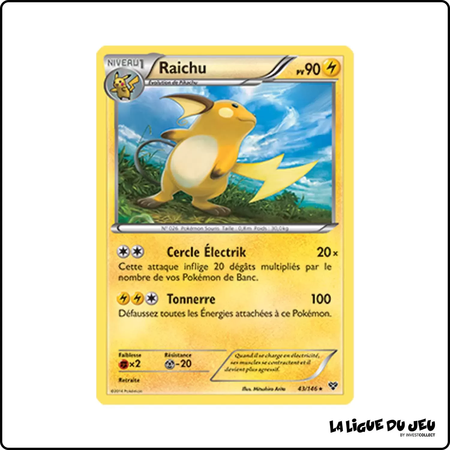 Holo - Pokemon - XY de Base - Raichu 43/146 Pokemon Company - 1