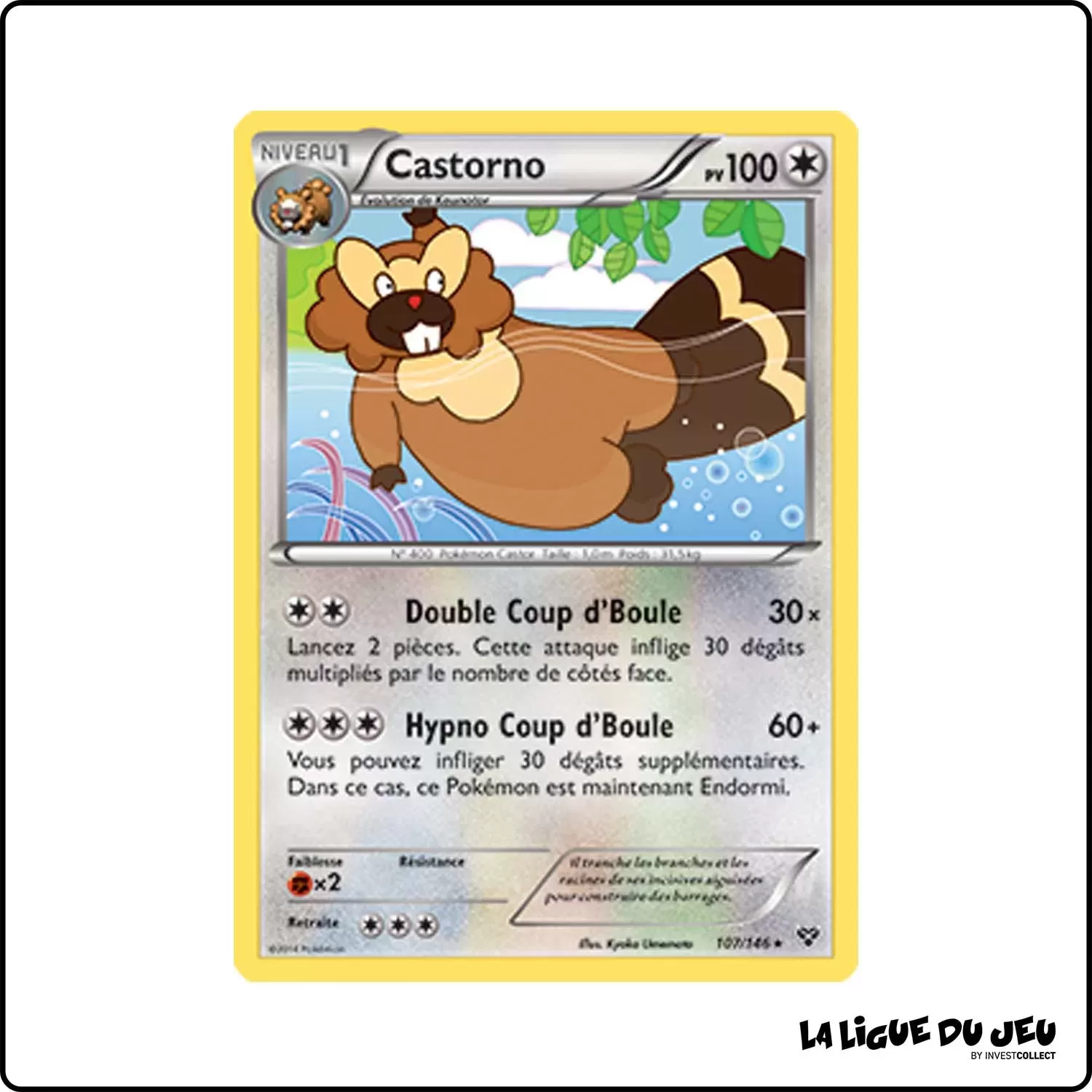 Rare - Pokemon - XY de Base - Castorno 107/146 Pokemon Company - 1